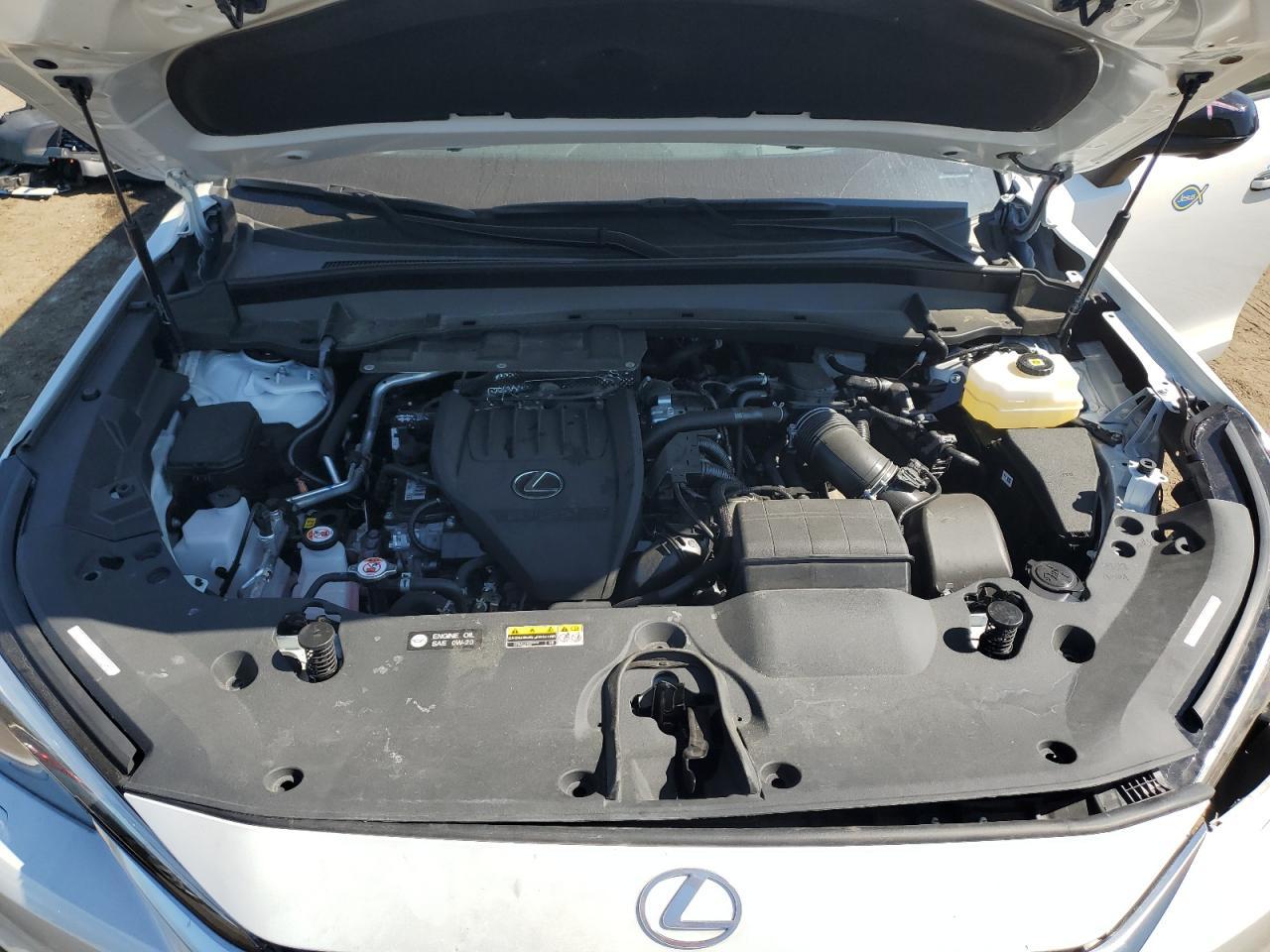 2025 LEXUS Tx
