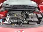 2023 KIA RIO