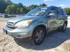 2010 HONDA CR-V