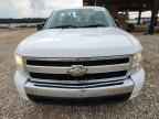2007 CHEVROLET Silverado