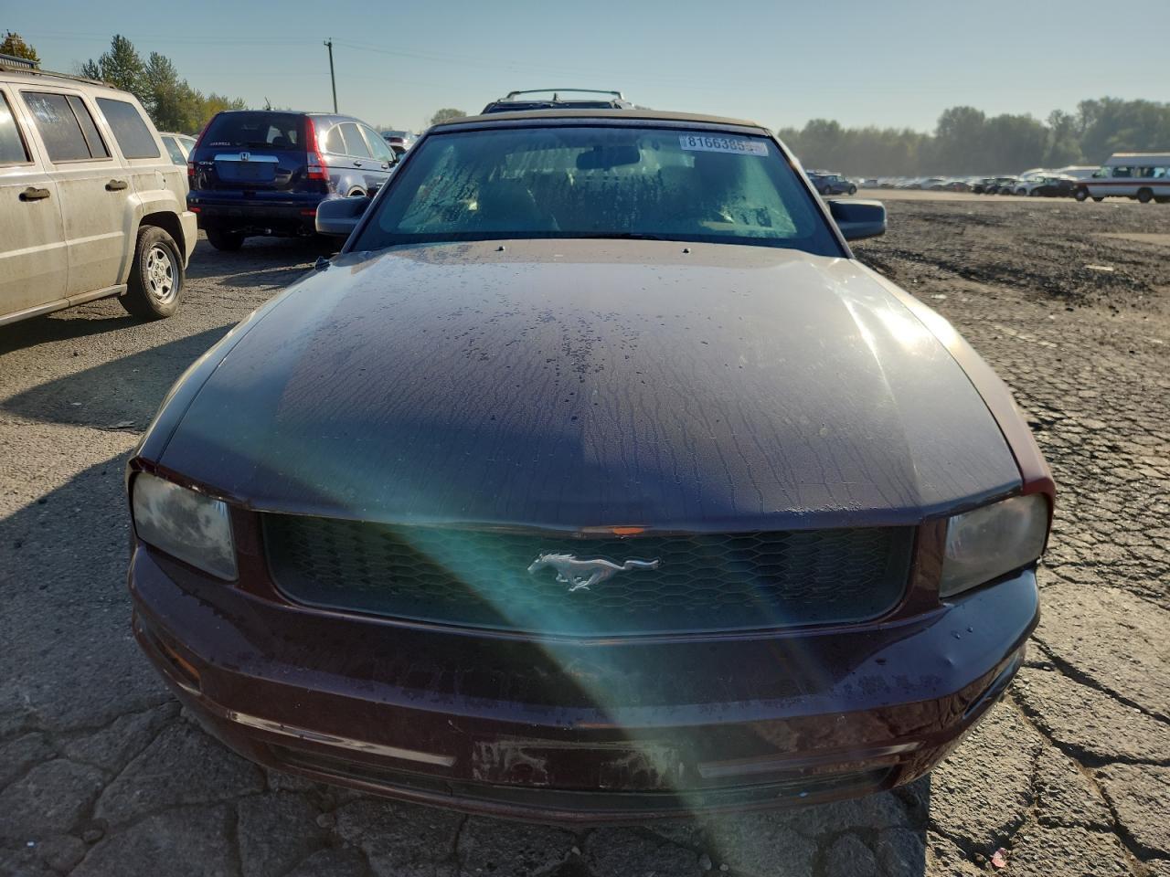 2005 FORD MUSTANG