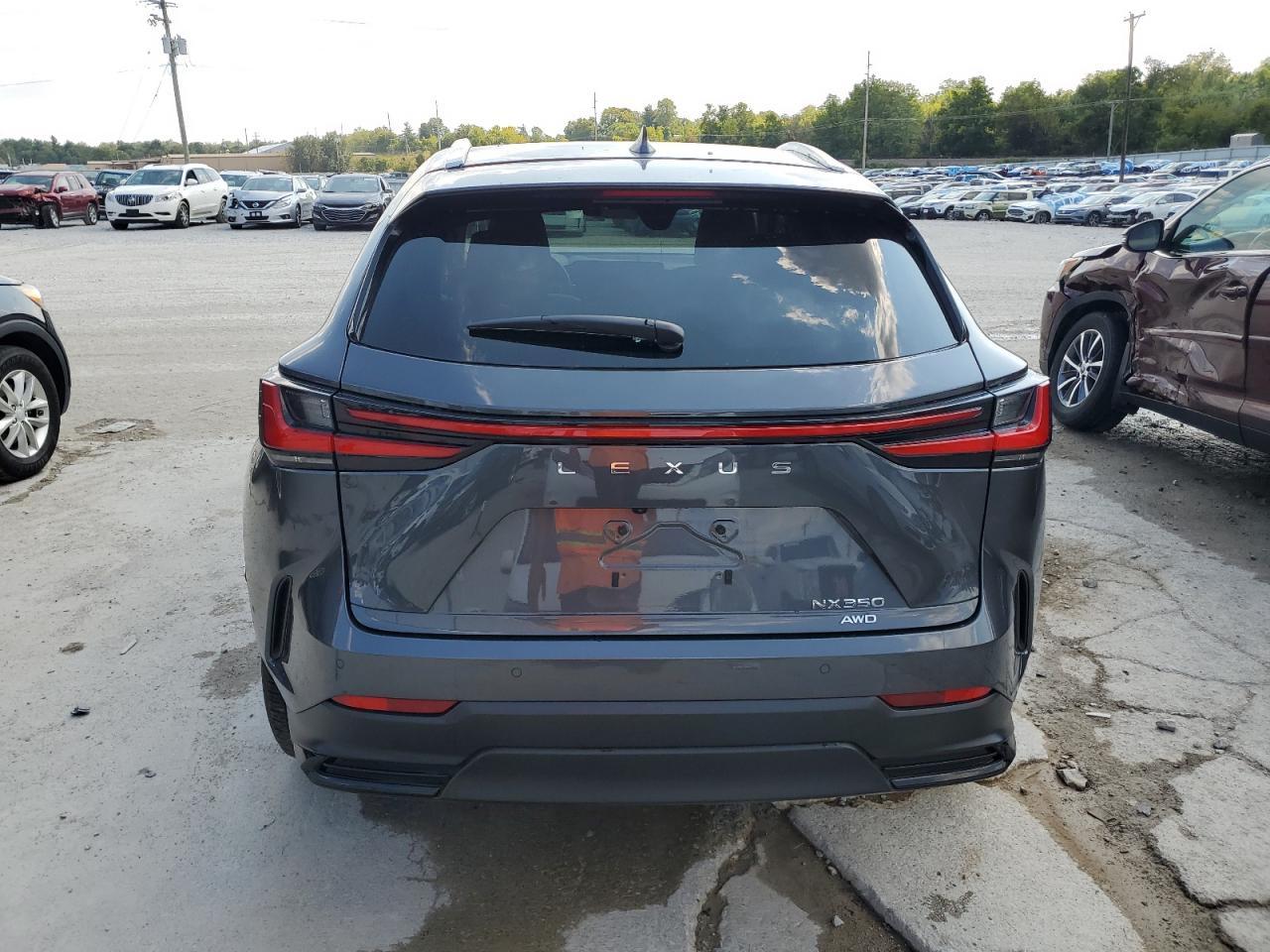 2024 LEXUS Nx