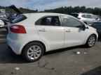 2013 KIA RIO