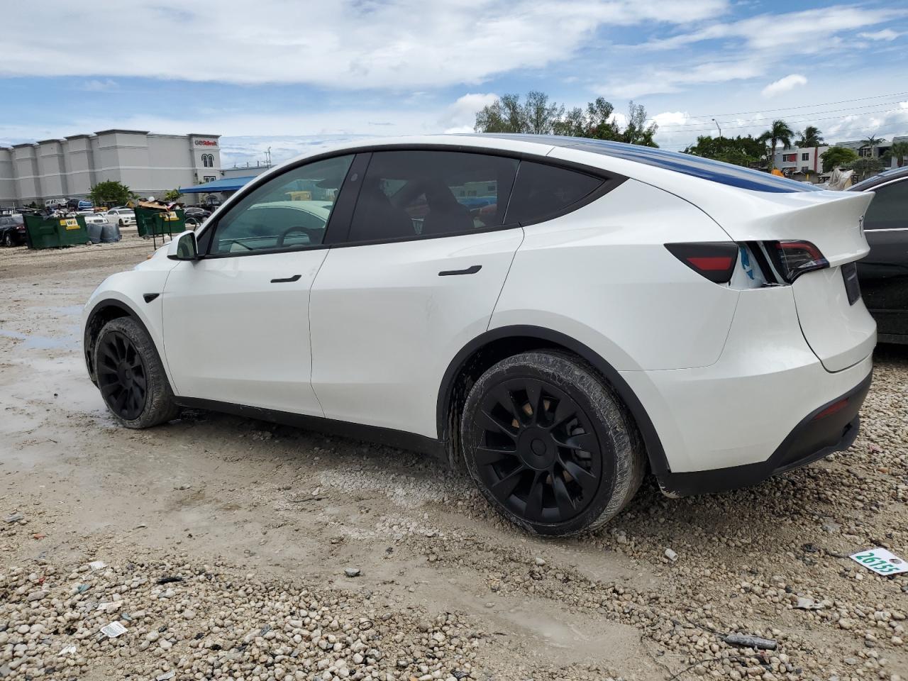 2024 TESLA MODEL Y