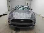 2023 FORD MUSTANG