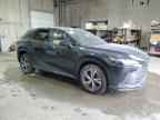 2025 LEXUS Rx