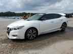 2017 NISSAN Maxima