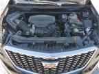 2024 CADILLAC XT5