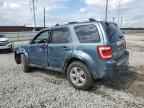 2010 FORD ESCAPE