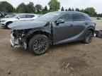 2025 LEXUS Rx