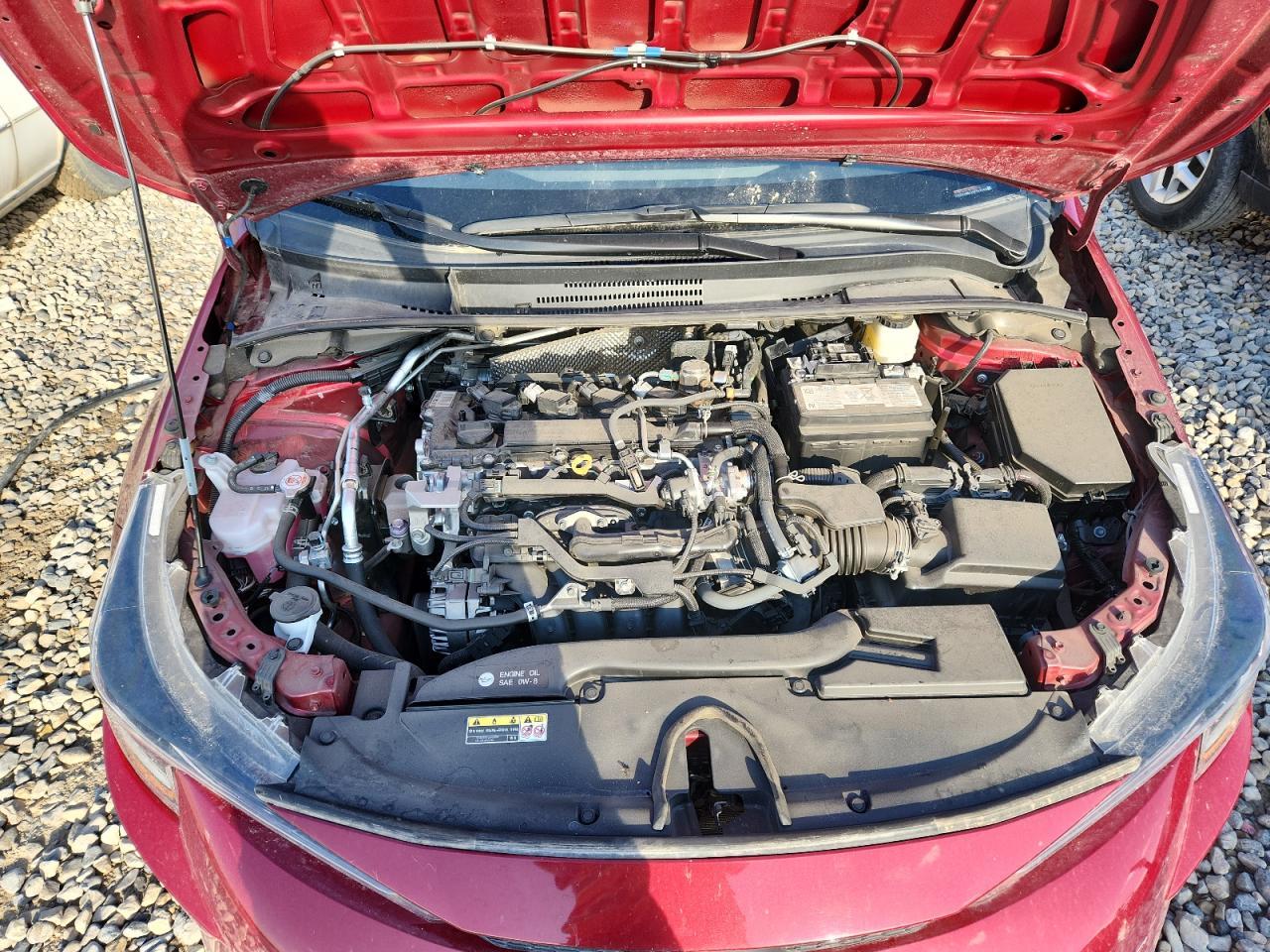 2024 TOYOTA COROLLA