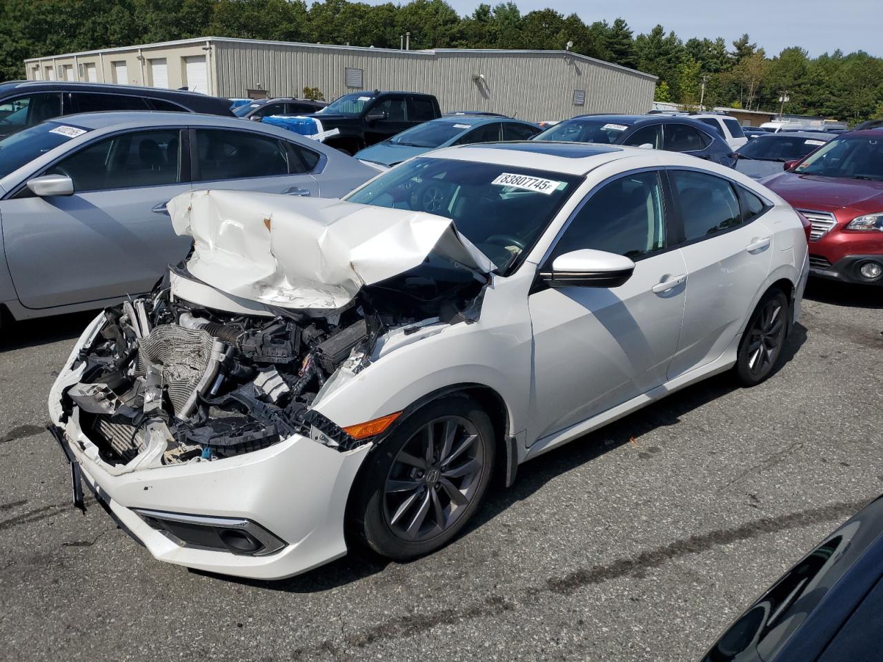 2019 HONDA CIVIC