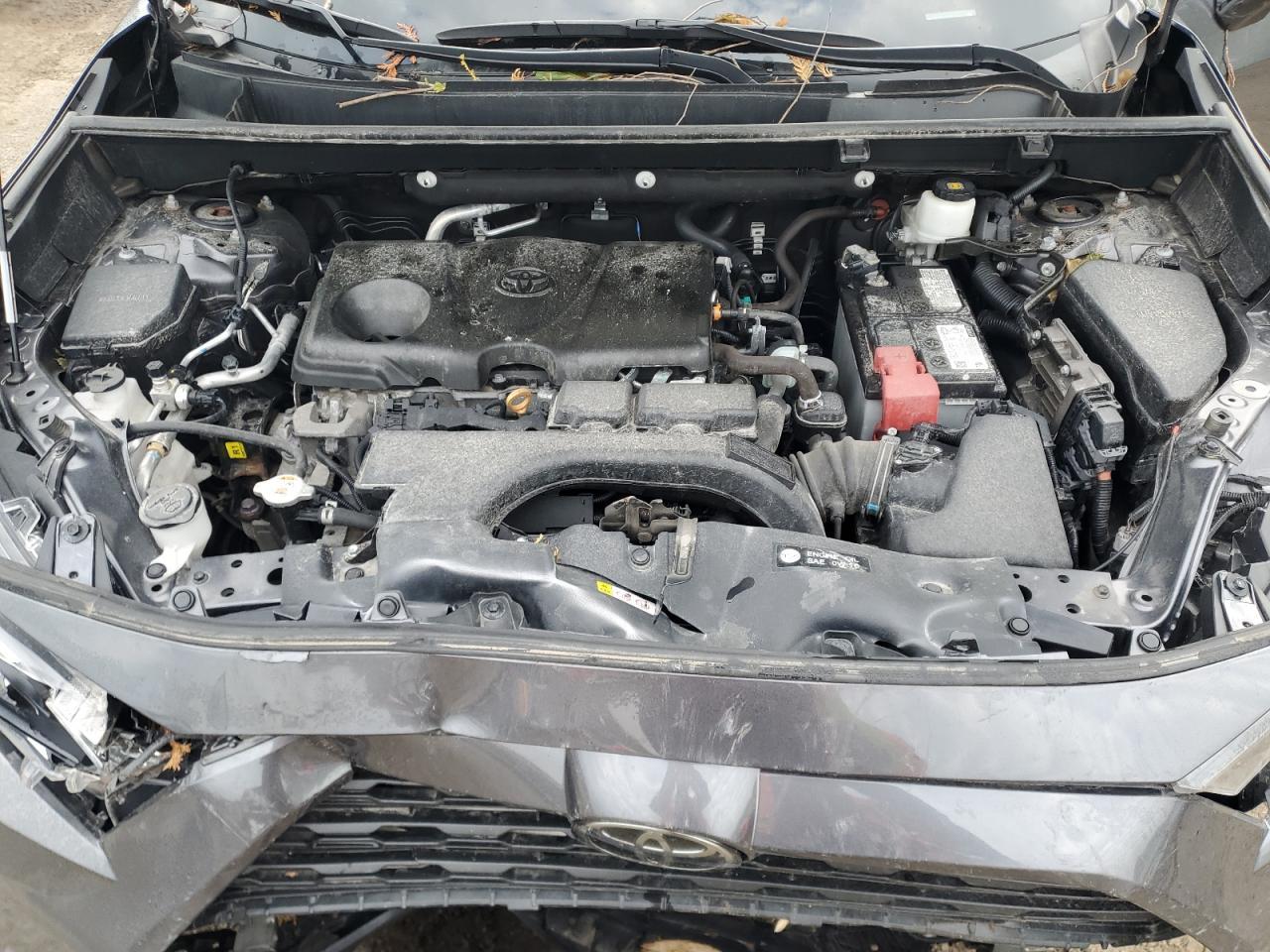 2021 TOYOTA RAV4