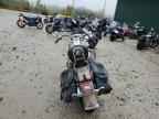 2004 HARLEY-DAVIDSON FLSTCI