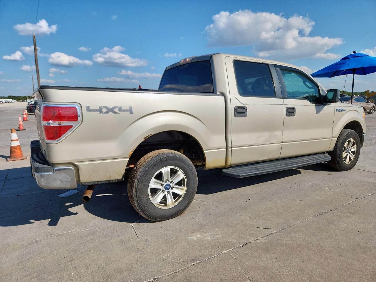 2010 FORD F-150