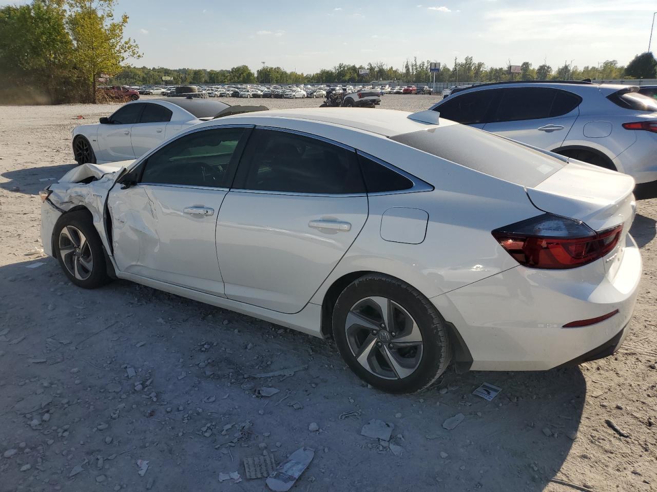 2019 HONDA Insight