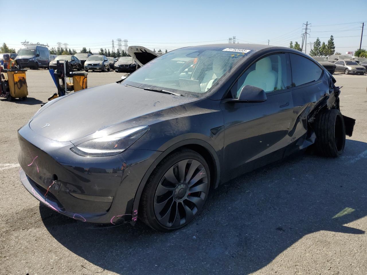 2025 TESLA MODEL Y