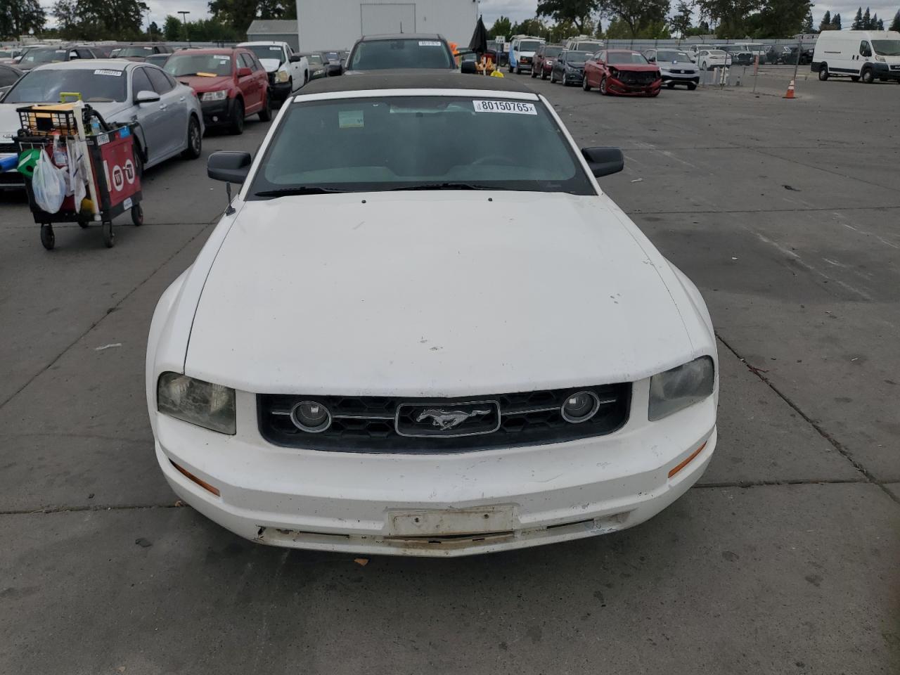 2005 FORD MUSTANG