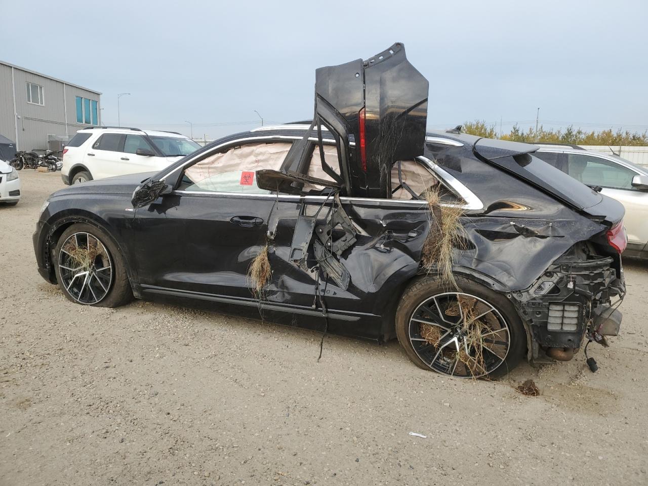 2019 AUDI Q8