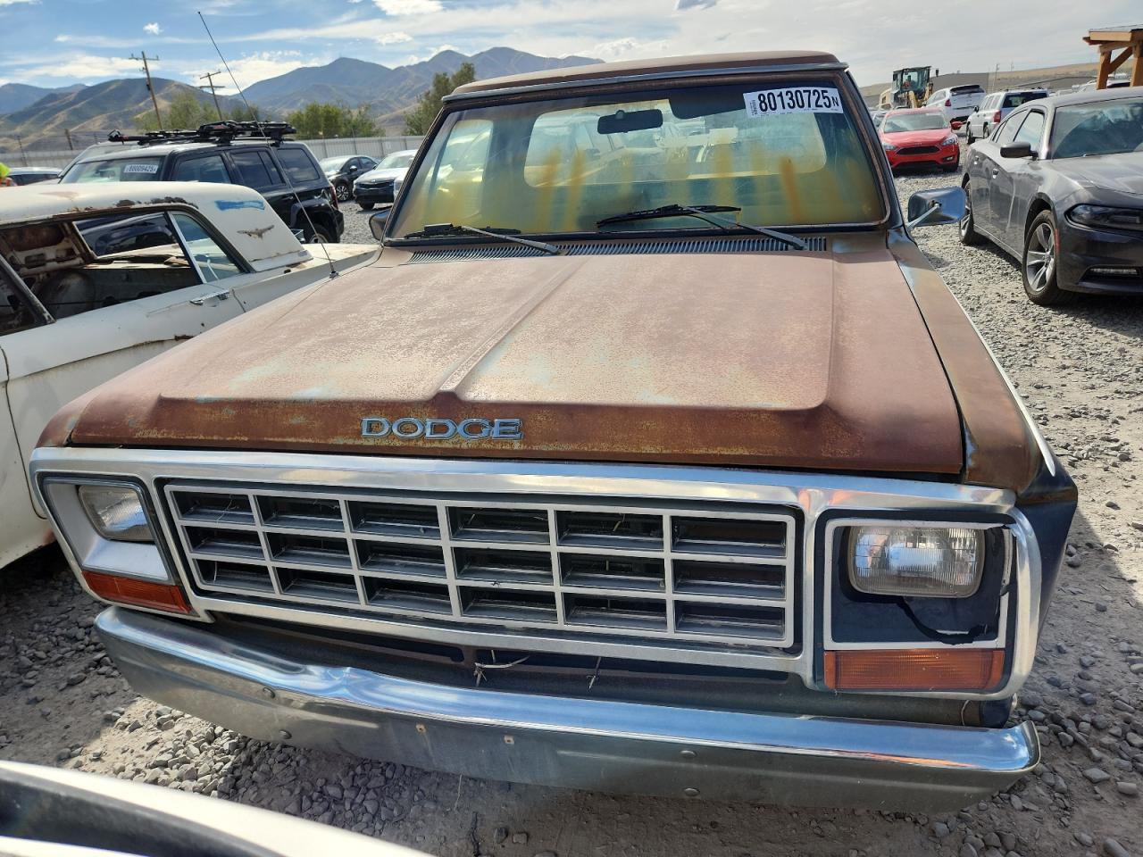 1982 DODGE D-Series