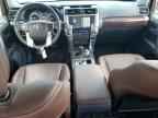 2024 TOYOTA 4Runner