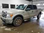 2009 FORD F-150