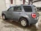 2010 FORD ESCAPE