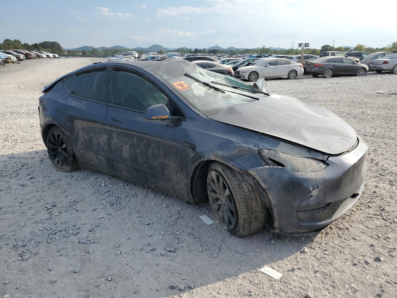 2020 TESLA MODEL Y
