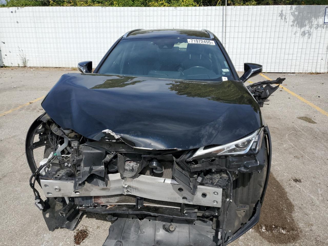 2019 LEXUS Ux