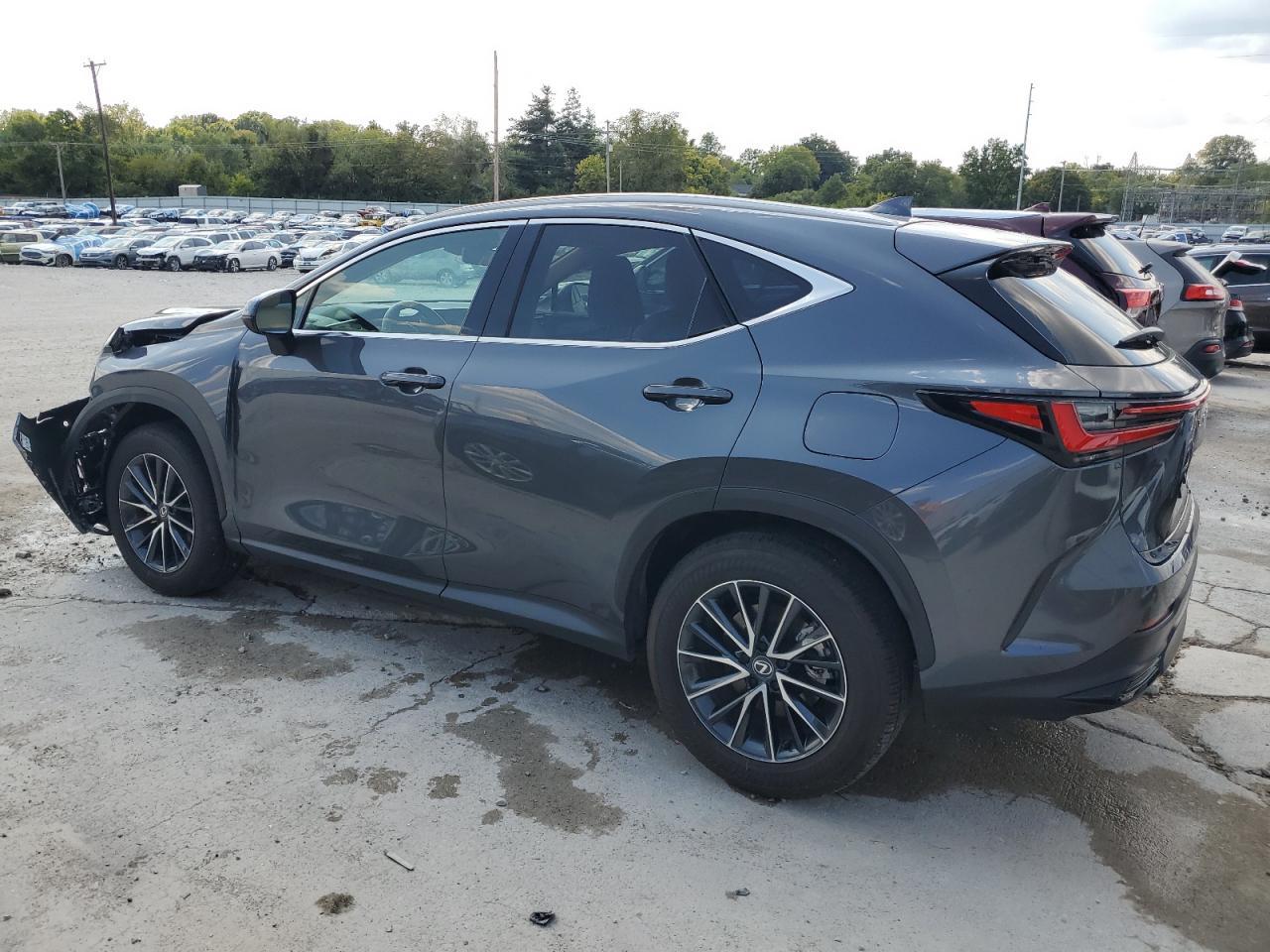 2024 LEXUS Nx