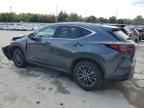 2024 LEXUS Nx