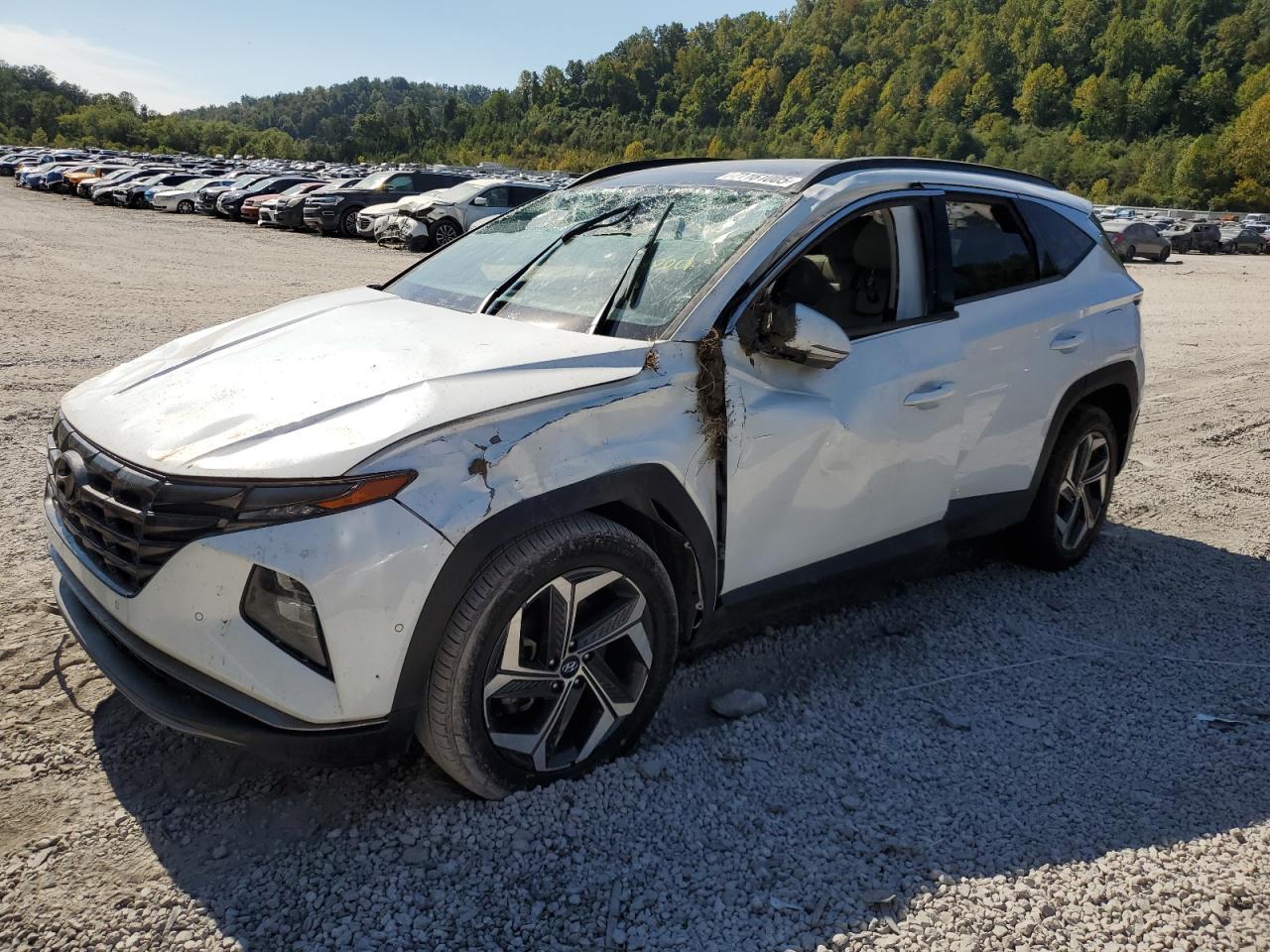 2022 HYUNDAI TUCSON