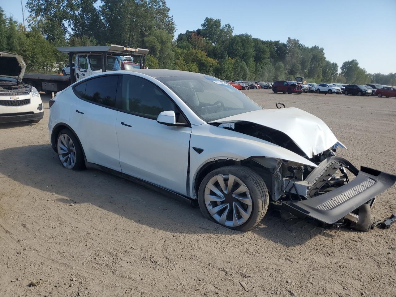 2026 TESLA MODEL Y