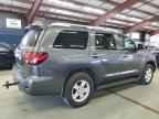 2020 TOYOTA Sequoia