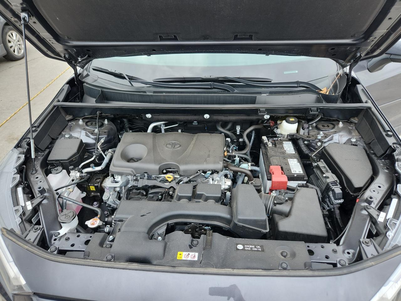 2025 TOYOTA RAV4