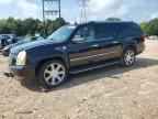 2008 CADILLAC ESCALADE