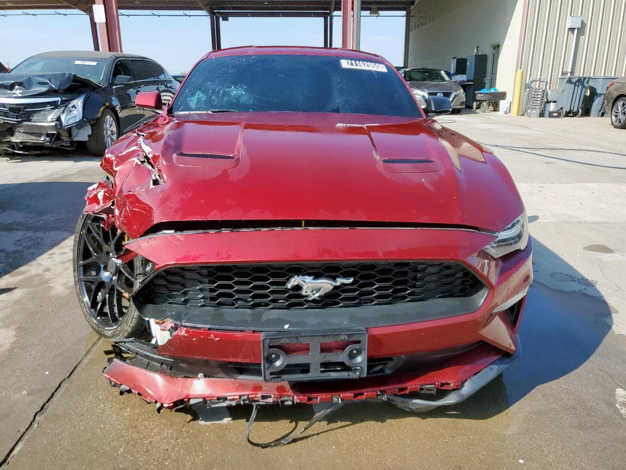 2019 FORD MUSTANG