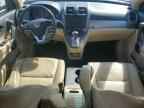 2010 HONDA CR-V