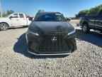 2025 LEXUS NX 350