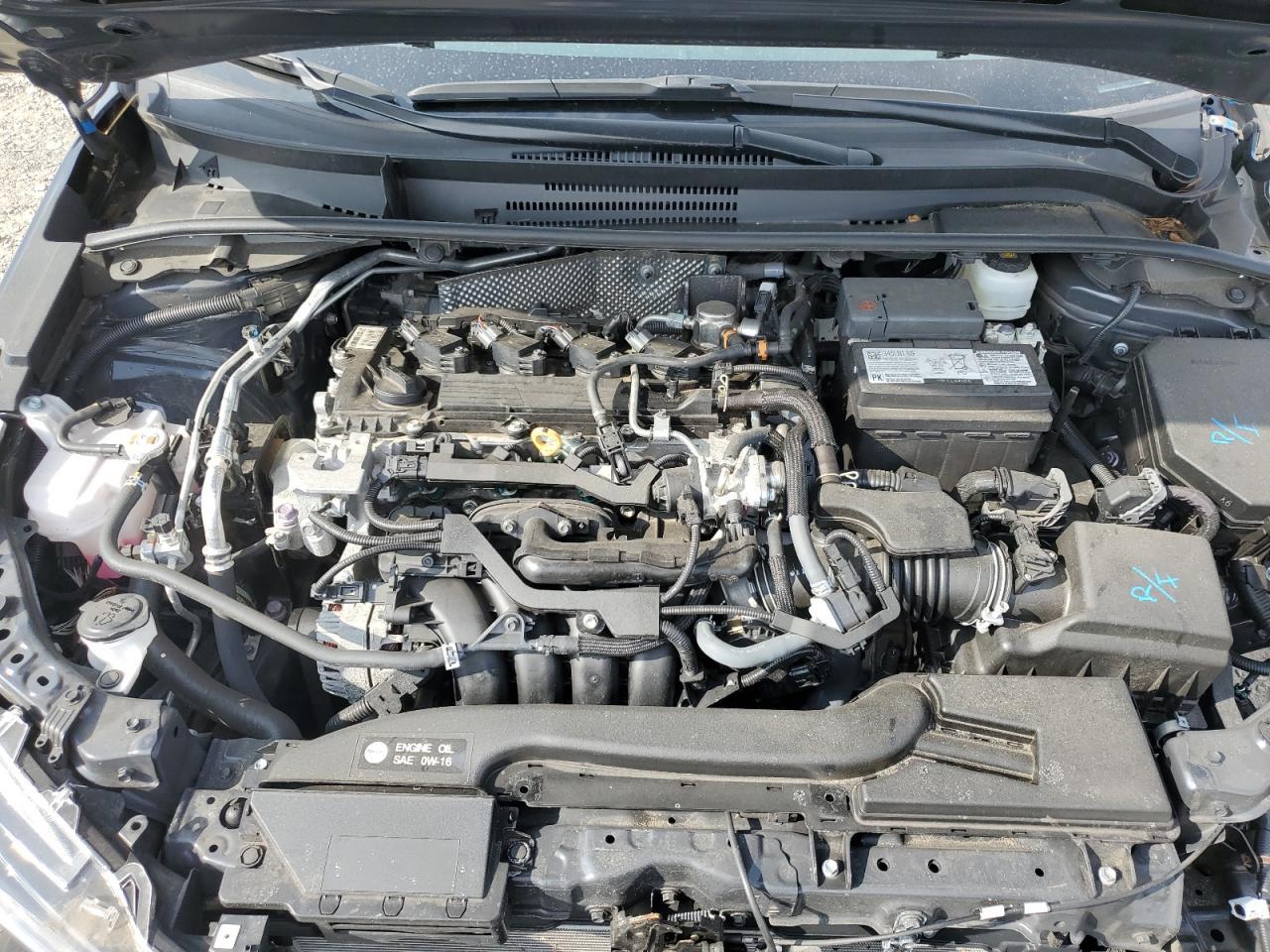 2023 TOYOTA COROLLA