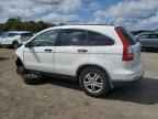 2010 HONDA CR-V
