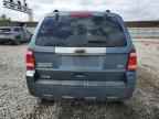2010 FORD ESCAPE