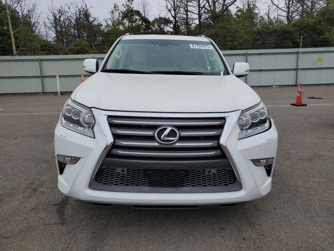 2018 LEXUS GX 460