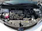 2024 TOYOTA SIENNA
