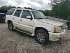 2003 CADILLAC ESCALADE