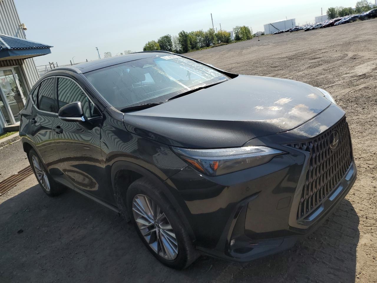2023 LEXUS Nx
