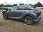 2025 LEXUS Rx