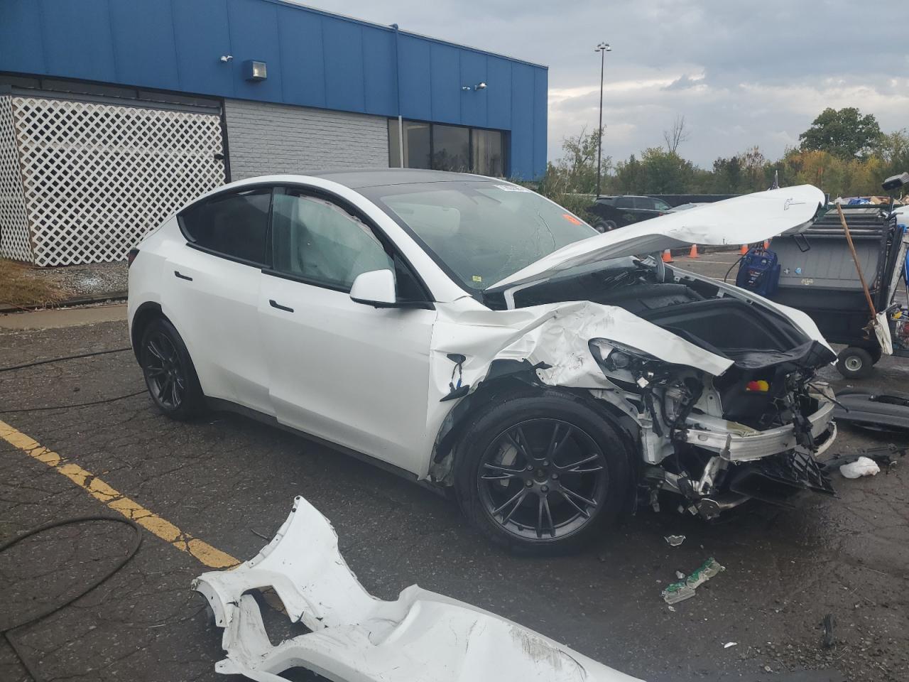 2025 TESLA MODEL Y