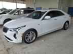 2024 CADILLAC CT4