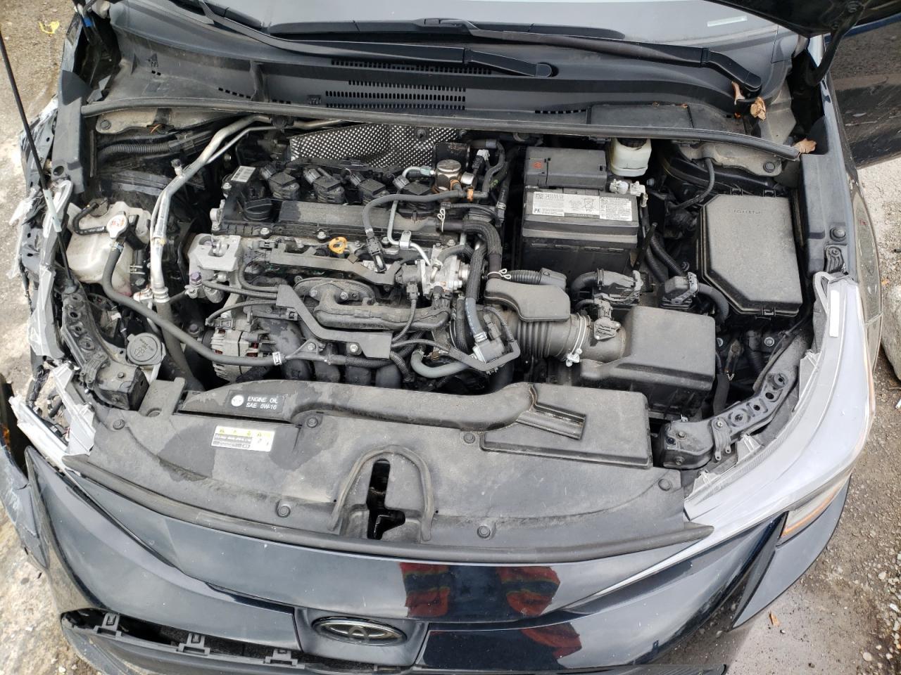 2023 TOYOTA COROLLA
